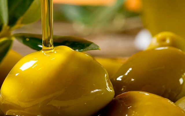 дегустация оливкового масла